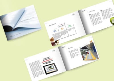 Ideazione grafica della brochure per Eurispes