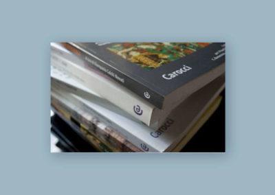 Impaginazione e correzione di bozze di circa 1.000 volumi per Carocci editore