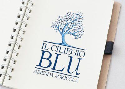 Ideazione del logo per l'agriturismo Il Ciliegio Blu