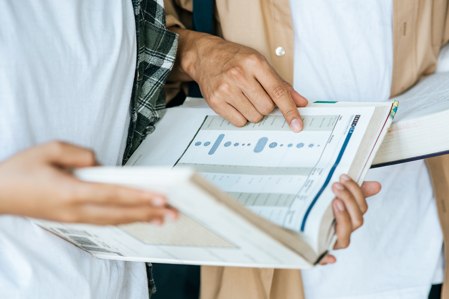 AnnualReport Report annuale